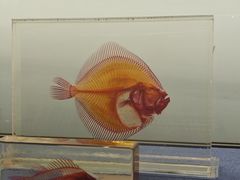 -大连自然博物馆