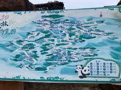 -沈阳森林动物园