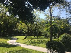 -晓港公园