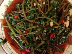 -柘林湖生态鱼馆