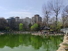 -莲湖公园