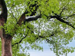 -东钱湖旅游度假区