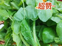 豌豆尖-顺庆羊肉馆(南坪店)