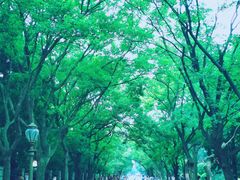 -八大关景区