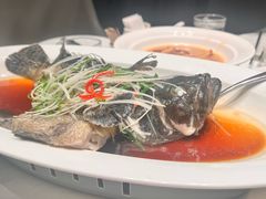 -祥记餐饮•豫粤珍味(金隅大厦店)