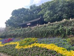 -苏州上方山国家森林公园