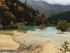 -黄龙山原始森林景区
