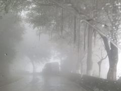 -广州市石门国家森林公园