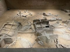 -洛阳周王城天子驾六博物馆