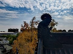 -上海东林寺(金山区)