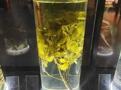 -广东中医药博物馆