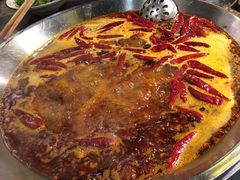 -大龙燚火锅(春熙店)