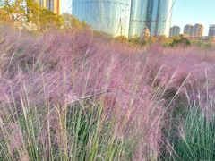 -艾溪湖湿地公园