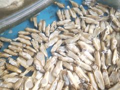 -沿海渔家院蒸汽海鲜·东北菜(东戴河店)