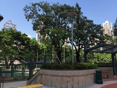 -香港佐治五世纪念公园