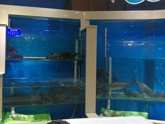 水产区-福泉海码头(六里山店)