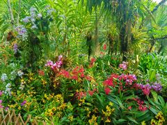 -中国科学院西双版纳热带植物园