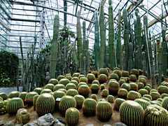 -南山植物园