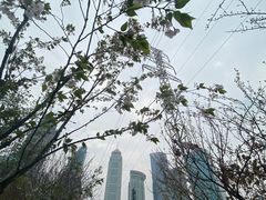 -西北湖绿化广场