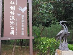-大亚湾红树林城市湿地公园