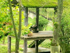 -碧峰峡风景区