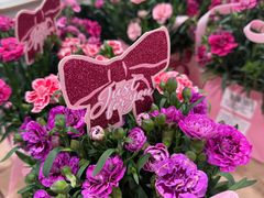 -山姆会员商店(邻瑞广场店)