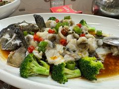 -华庭食府(光明店)