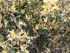 -沙河三洞古桥公园