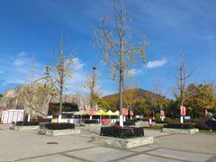-合肥野生动物园