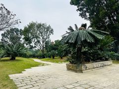 -深圳仙湖植物园