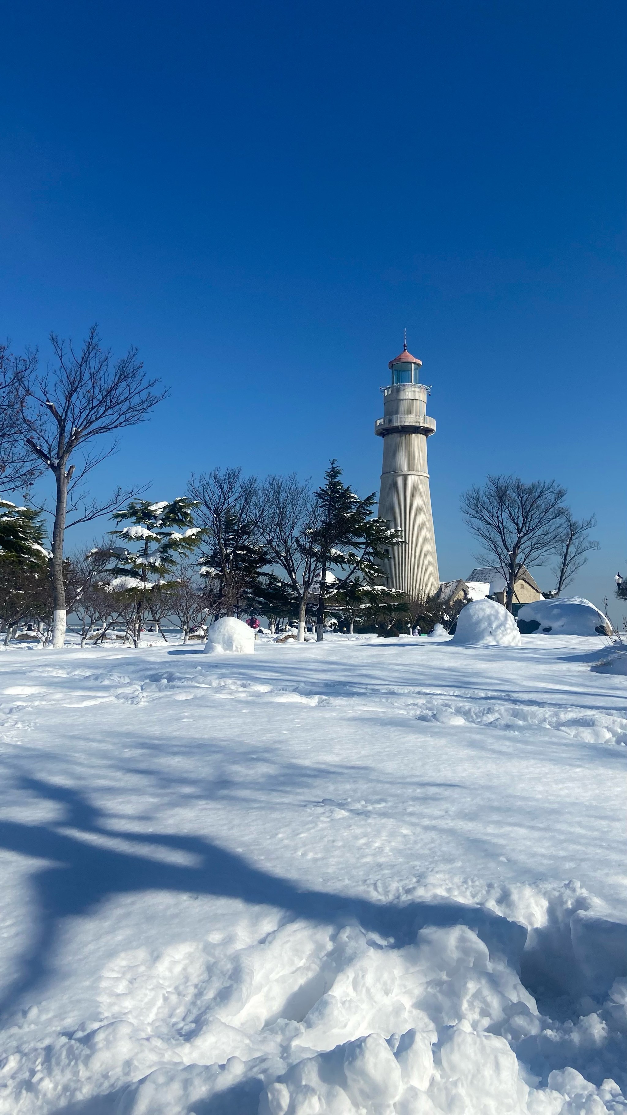 威海大雪图片