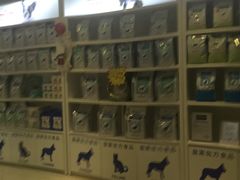 -创凡宠物医院·骨专科  猫科中心(西乡分院)