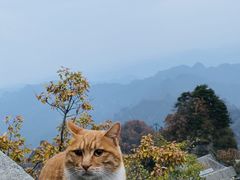 -武当山风景区