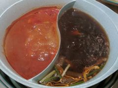 -青瓷火锅料理(西单大悦城店)