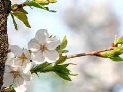 -宁波大学附属第一医院(外滩院区)