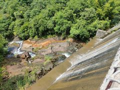 -广州白江湖森林公园