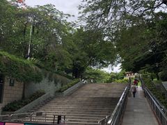 -深圳国际园林花卉博览园