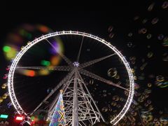 -锦江乐园舞狸花花游园会(夜场专享)