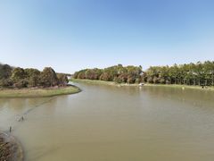 -上海海湾国家森林公园