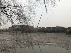 -吉姆丽德乡村西餐厅(闵行交大店)