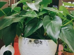 -张钰强中医正骨推拿连锁(唐家人才公寓店)