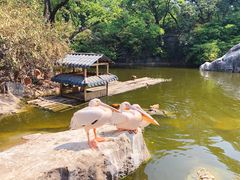 -昆明动物园