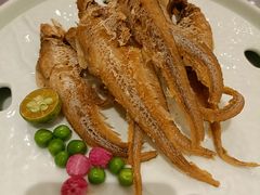-宝燕壹号(徐汇店)