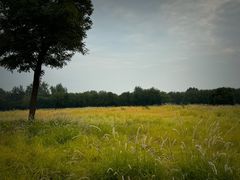 -汉长安城未央宫国家考古遗址公园