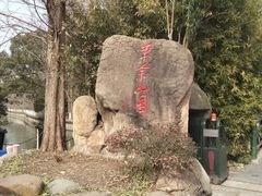 -上海佘山国家森林公园东门地面停车场
