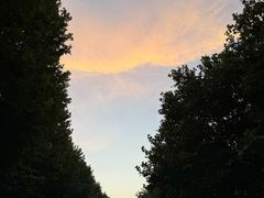 -杭州城北体育公园