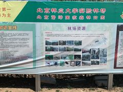 -北京鹫峰国家森林公园