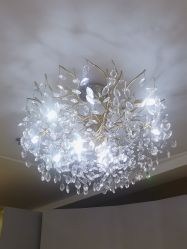 -八佰伴8008星级形象店
