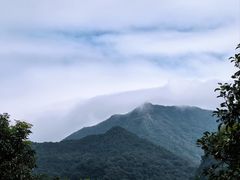 -广州市石门国家森林公园