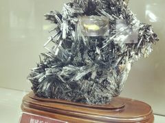 -甘肃地质博物馆